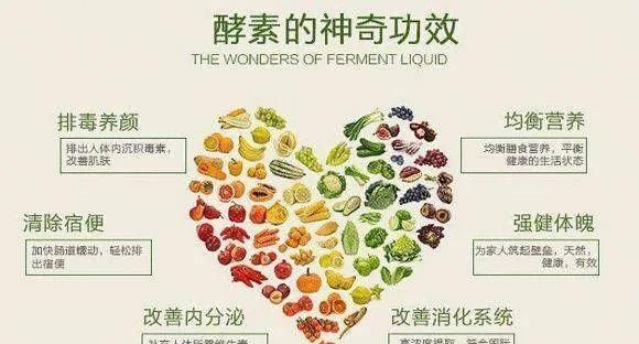 酵素的作用有哪些
，酵素的作用与功效有哪些？图1