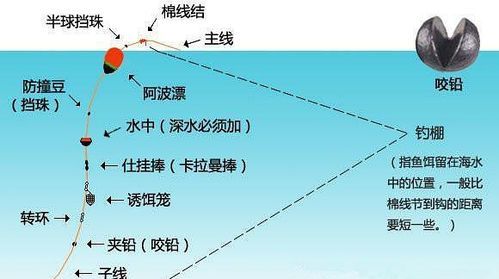 海竿的使用方法
，海竿上鱼最快野钓方法？图1