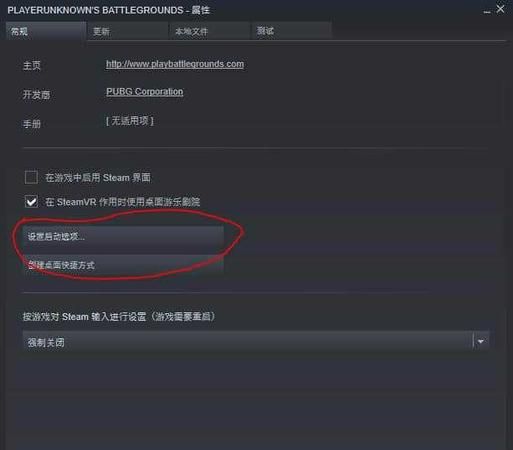 如何在steam中设置启动项
，apex如何加两个启动项？图1