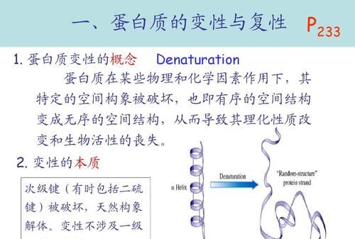 蛋白质变性是由于什么造成的
，蛋白质变性主要是因为破坏了什么键？图2