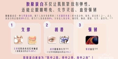 二型胶原蛋白的作用
，人源三型胶原蛋白有用吗？图1